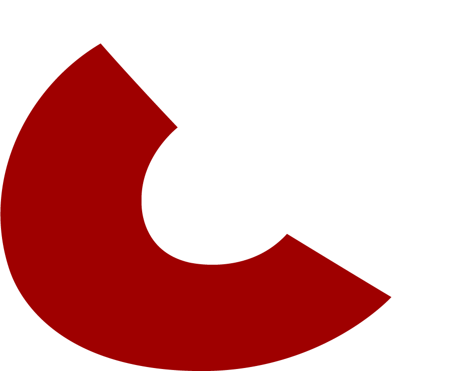 Wheels 'N Customs Icon